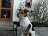 molly1-3_0