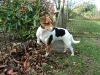 molly1-5_0