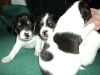 3uger-2-small