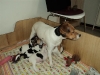 5uger-3-small