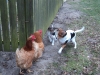 molly_8uger-2-small