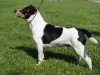 plocka1