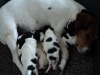 molly16_dag1-3