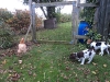 dsc01825-small