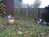 dsc01827-small