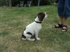 leo-10-uger-2014-004-small