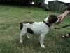 leo-10-uger-2014-005-small