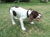 leo-10-uger-2014-011-small
