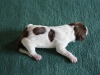 1-holger-small