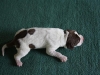 3-leo-small
