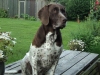 tilde-1