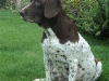 tilde_draegtig-2012-2